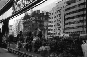 Bukarest: Boulevard Bratianu, Spiegelung im Blumenladen "Bucuresti"