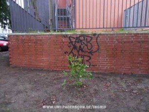 "FARB" "MAL "CLUB...