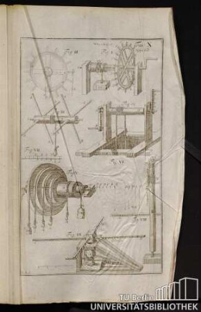 Tab. X. Von Haspel