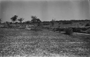 Ebene : Blick über eine Ebene mit wenig Vegetation