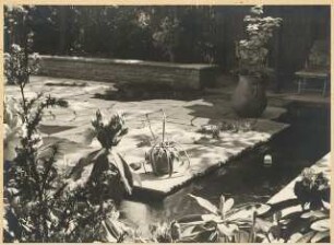 Hakeburg (Wohnsitz des Reichspostministers), Kleinmachnow [?]: Wasserbecken, Sitzmauer, Pflanzgefäße, Plattenverlegung