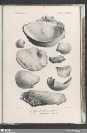 Pl. 471