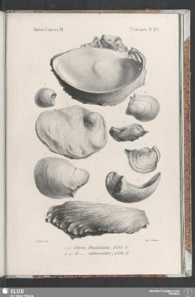 Pl. 471