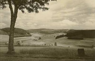 Baden. Blick von der Staatsstraße Triberg - Furtwangen nach Osten auf Vorderschützenbach