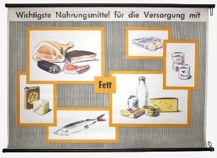 Wichtigste Nahrungsmittel für die Versorgung mit Fett