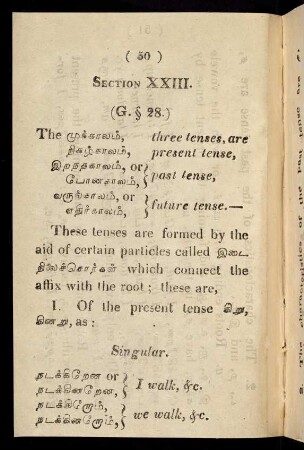50 - 55, Section XXIII