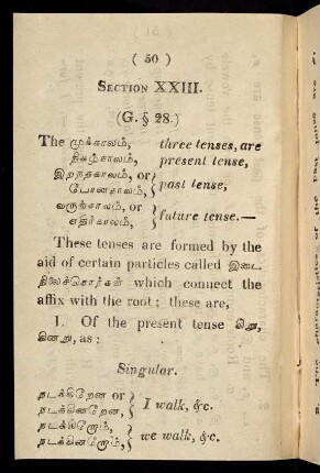 50 - 55, Section XXIII