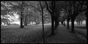 Bergpark, Löbau