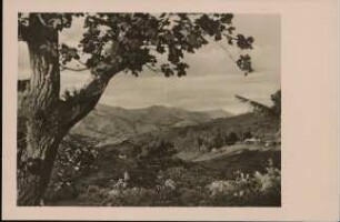 Blick auf Station Schigatini im Paregebirge (Ost-Afrika) [Serie Afrika II]