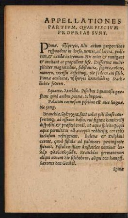 Appellationes Partium, Quae Piscium Propriae Sunt.