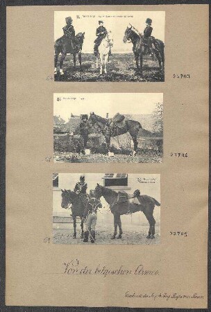 Fotopostkarten: Chasseurs à cheval