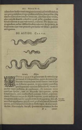 De Aspide. Cap. VII. [i.e. VIII]