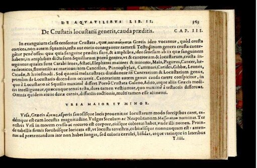 De Crustatis locustarii generis, cauda praeditis. Cap. III.