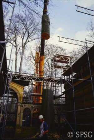 Berlin, Schlossgarten Glienicke, Fällung Buche Klosterhof.