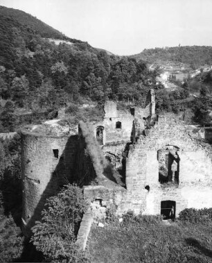 Burgruine Hardenburg