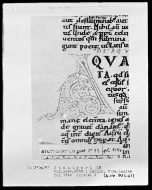 Isidor von Sevilla, Etymologiae — Initiale A, Folio 114verso