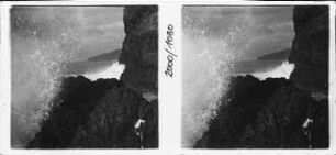 Madeira-Kreuzfahrt