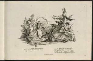 154r-154v, Blatt 4: Naturae miracula