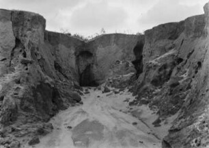 Bodenerosion : Ausgewaschender Sandboden.