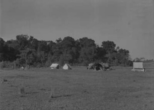 Zeltlager : Am Waldrand gelegenes Zeltlager der Expedition um Ernst Nowack