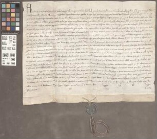 Mainz (Franziskaner): Bulle des Papstes Alexander IV. die Minoriten betreffend