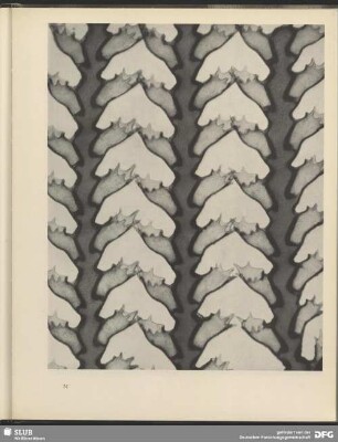 Urbild des Kollektivs. Hochhäuser von Becherpolypen. 100:1