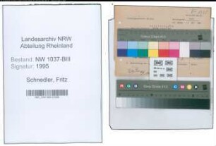 Entnazifizierung Fritz Schnedler , geb. 29.03.1888 (Treuhaender)