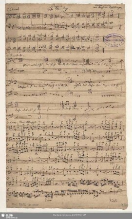 Organo Hohe Stimmung [transp.]