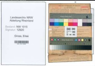 Entnazifizierung Elise Gross , geb. 10.07.1912 (Verkaeuferin)