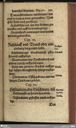 Cap. 91. Rohtlauff und Brand oder entzündung des gantzen Leibs