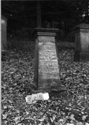 Grabstein 225
