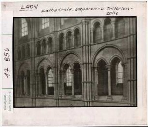 Laon: Kathedrale, Inneres Emporen und Triforienzone