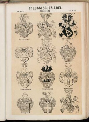 Taf. 348. v. Pestel. - Petersdorff I. - Petersdorff II. - Petersen I. - Petersen II. - Petersen III. - Petery. - Petit. - Petri. - Petrikowski. - Petrykowski. - Peschwitz