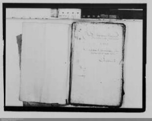 Solms-Braunfels ./. Nassau-Katzenelnbogen: Besitzrechte an Gütern des Vogthofs zu Edingen (Gutachten und Berichte)