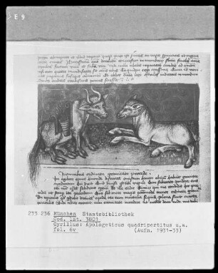 Cyrillus, Apologeticus quadripertitus — Ochs und Esel, Folio 6verso