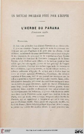 Un noveau fourrage d'été pur l'Égypte