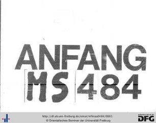 MF Mau 484