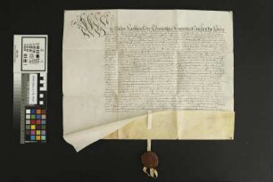 Heidesheim: Kaufbrief Heidesheim für Heinrich v. Stockheim