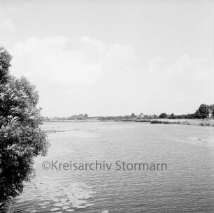 Herrenteich: oberer Abschnitt: Blick von Holzbrücke Fischhuser Damm Richtung Nordosten: Seerosen, Schilf: am Horizont Häuser Heidekamp