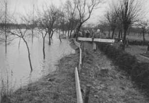 Hochwasser 1955 am Rhein bei Neuburg