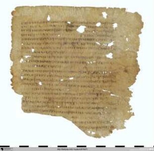 Septuaginta, Psalm 103, 2–20