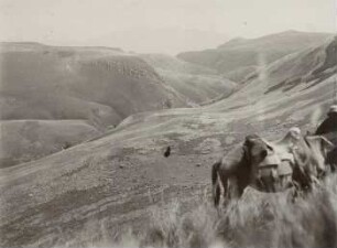 Hochland mit Rumiñahui in Ecuador