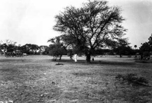 Landschaftsblick (Deutsche Indien-Expedition 1926/1929 - 1. Sri Lanka)