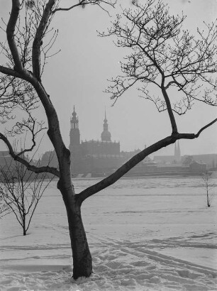 Dresden. Blick vom Neustädter Elbufer auf die Altstadt mit Katholischer Hofkirche, Residenzschloss und Sophienkirche