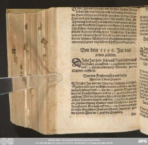 Von dem 1596. Jar / und seinen zufellen.