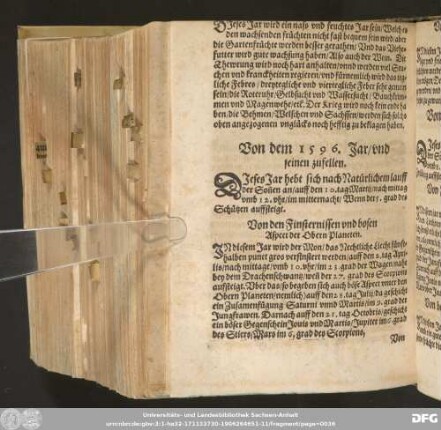 Von dem 1596. Jar / und seinen zufellen.