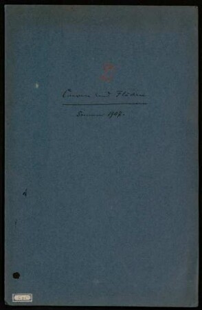 Curven und Flächen. [Vorlesungsmanuskript], Göttingen, 25.4.1907 - 2.8.1907