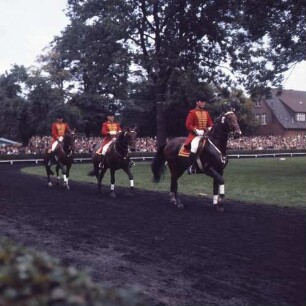 Celle, Spörckenstraße 10. Niedersächsisches Landgestüt. Hengstparade. Quadrille mit Reitern in historischen Uniformen aus dem 18. Jahrhundert