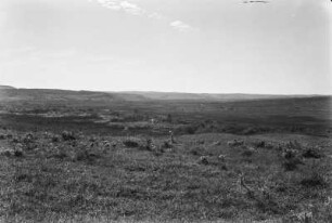 Blick in eine Landschaft : Blick in eine Graslandschaft in Brasilien.