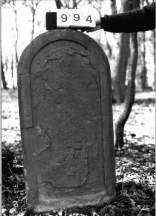 Grabstein 994 (Index: 99902649) Material: Sandstein Zustand: vollständig verwittert Maße HxBxT: 117x58x9 cm: Grabstein 994